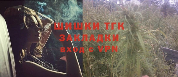 гашик Мегион