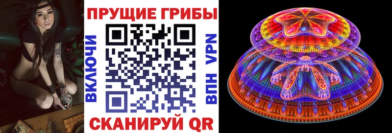 Купить закладки  Первомайск  Галлюциногенные грибы мухоморы 