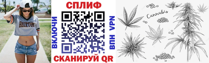 Купить закладки  Первомайск  Бошки Шишки индика 